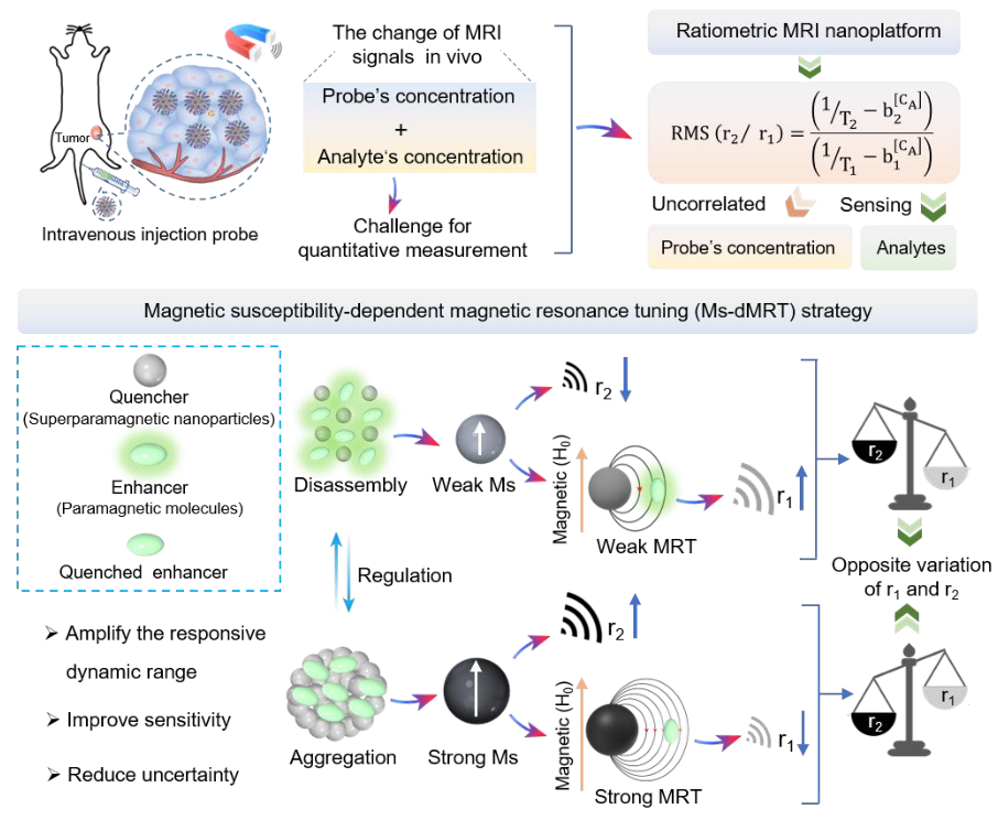 54. Zhang C., Zhang X.*, Rao J.*, Song G.* , et al; Enhancing ...